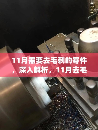 11月去毛刺零件深度解析与全面解读