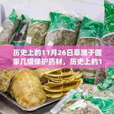揭秘,历史上的草属药材国家保护级别揭晓,11月26日草属国家几级保护药材?