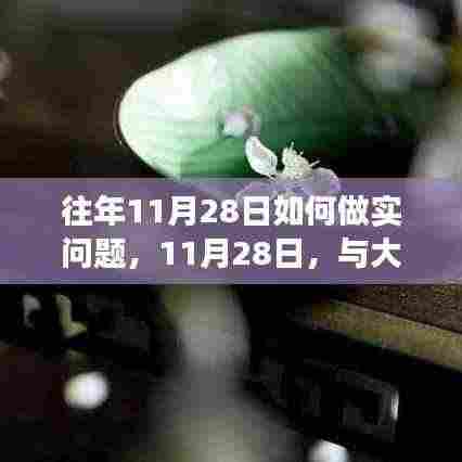 11月28日寻找内心平静之旅,与大自然的共舞和做实问题的探索