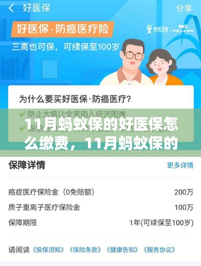 11月蚂蚁保好医保缴费攻略,轻松了解缴费流程