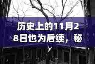 秘境探索,历史秘密角落中的特色小店与小巷深处的秘密故事