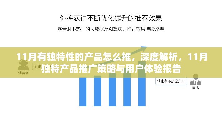 深度解析，11月独特产品推广策略与用户体验报告——打造独特产品，提升用户吸引力与体验度