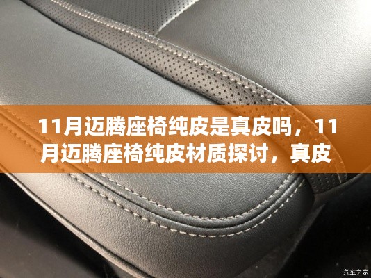 11月迈腾座椅纯皮材质解析,真皮还是非真皮?