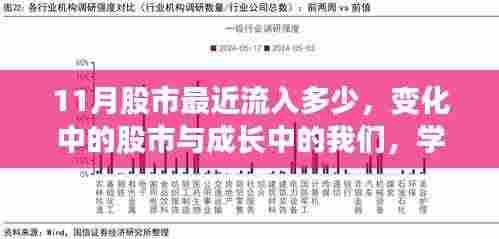 股市动态揭秘，成长与投资的奇妙旅程，学习自信与成就感的提升