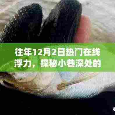 探秘隐藏式特色小店,浮力秘境的奇妙故事(往年12月2日热门在线浮力回顾)