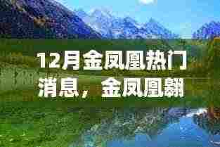 12月金凤凰翱翔全景解析，热门消息一览