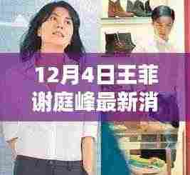 王菲谢庭峰最新动态揭秘,特性、体验、竞品对比及用户群体深度分析