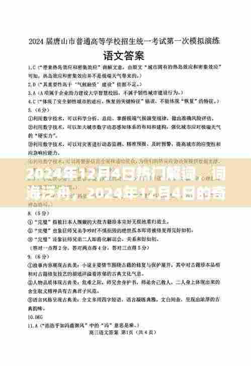 2024年12月4日热门词汇探秘,词海泛舟的奇妙之旅