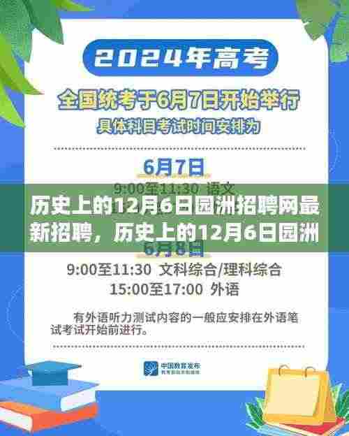历史上的12月6日园洲招聘网最新招聘探析,揭示值得关注的就业现象