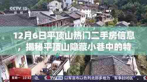 揭秘平顶山隐藏小巷特色小店与热门二手房背后的故事（独家报道）