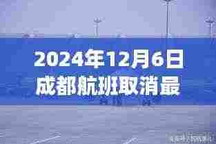 2024年成都航班取消最新信息及应对指南（初学者与进阶用户必备）