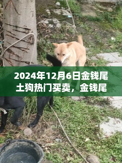 金钱尾土狗大冒险,买卖与友情的温馨之旅