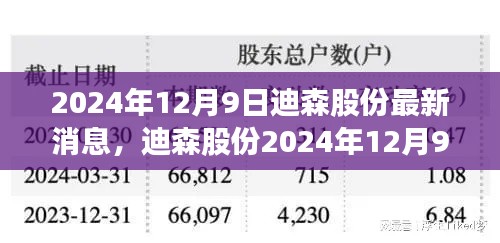 2024年12月9日迪森股份最新消息,迪森股份2024年12月9日最新动态解析,扩张策略与公司前景展望