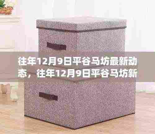往年12月9日平谷马坊,发展与变化的最新揭秘与动态观察