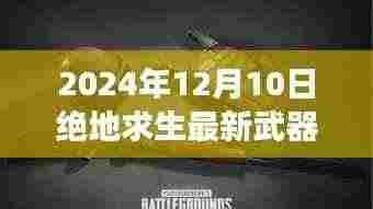 揭秘绝地求生最新武器伤害,探索神秘武器库与独特小店之旅