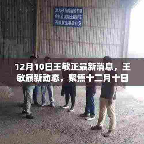 深度解读,王敏最新动态及十二月消息背后的深层意义与影响