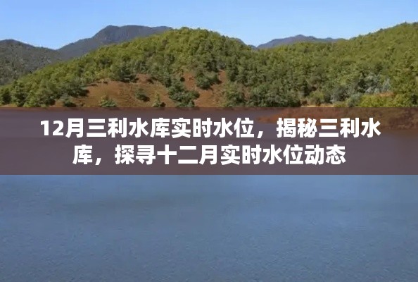 揭秘三利水库十二月实时水位动态