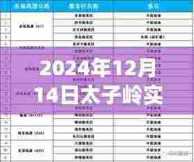 太子岭逆风翱翔，天气变化中的励志篇章与实时天气查询表