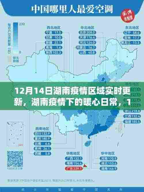 湖南疫情区域实时更新,暖心日常与阳光温情的见证
