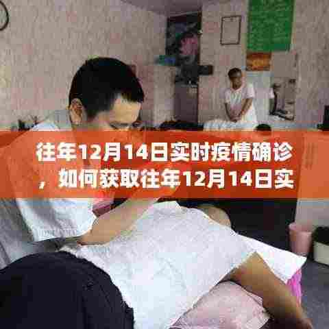 往年12月14日疫情实时确诊信息获取指南，详细步骤解析