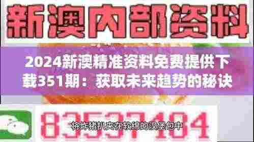 2024新澳精准资料免费提供下载351期:获取未来趋势的秘诀