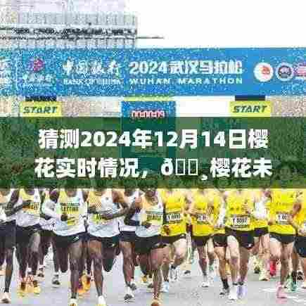 科技与浪漫交织,探索预测樱花盛开实况,预见未来樱花浪漫盛景——2024年樱花探秘之旅