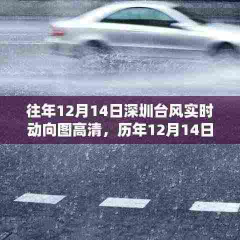 历年与实时,深圳台风动向高清图助你提前防范,12月14日台风动态全掌握