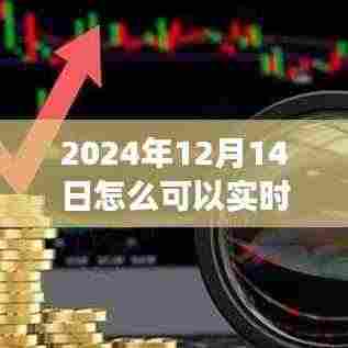 冬日理财与探索自然美景之旅,如何一边旅行一边实时赚钱