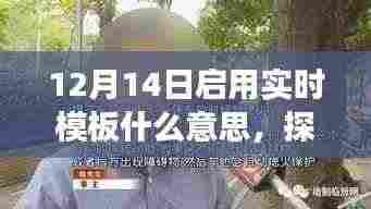 探秘小巷深处独特风味,实时模板特色小店之旅启程(12月14日)