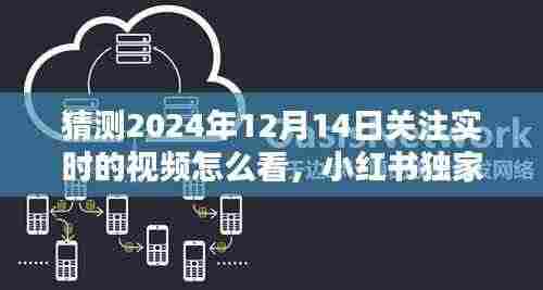 小红书揭秘，如何实时掌握未来热门视频动态，关注猜测未来视频趋势——以猜测2024年热门视频为例