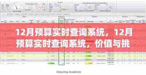 全方位解读,12月预算实时查询系统的价值与面临的挑战