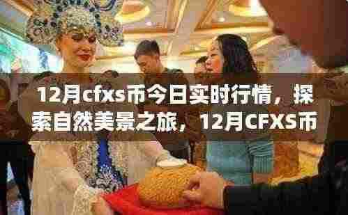 12月CFXS币行情下的自然探索与心灵之旅,实时行情及内心宁静的追寻