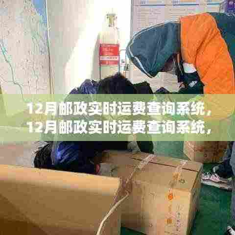 12月邮政实时运费查询系统详解,优劣分析与影响
