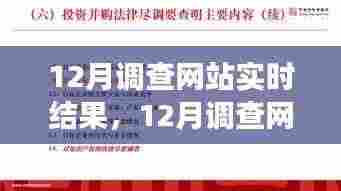 12月调查网站实时结果深度解析,背景、进展与影响全解析