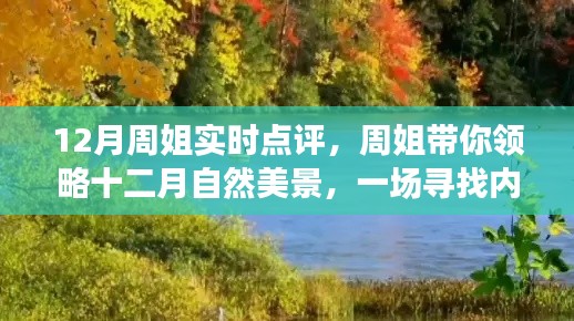周姐带你领略十二月自然美景,寻找内心平静的奇妙旅行实时点评