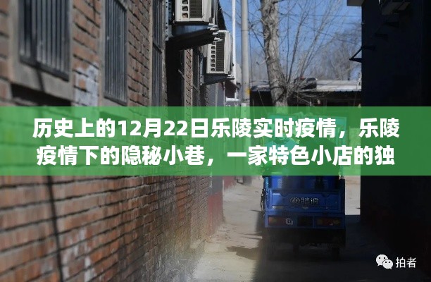 乐陵疫情下的隐秘小巷,特色小店的独特故事与实时疫情回顾