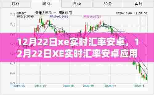 XE实时汇率安卓应用指南,从初学者到进阶用户的安装与使用详解