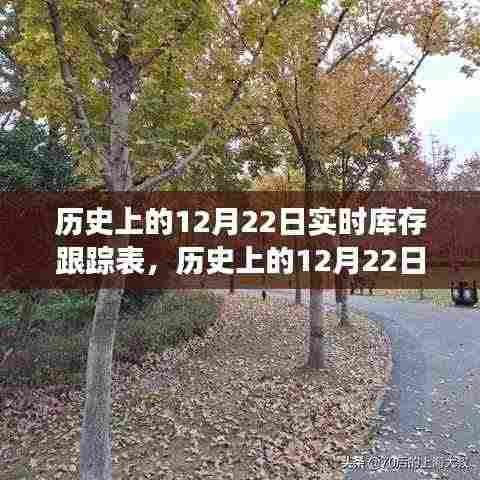 探寻自然美景的心灵之旅,历史上的12月22日库存轨迹跟踪表纪实