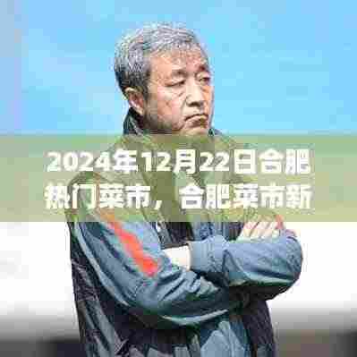 合肥菜市新探秘,心灵绿洲的旅程