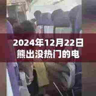 探寻熊出没热门电影，盘点2024年最受瞩目的熊出没电影佳作