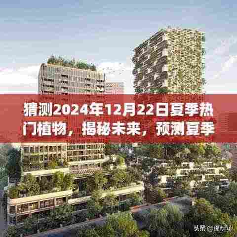 揭秘未来夏季热门植物,预测2024年12月22日植物流行趋势