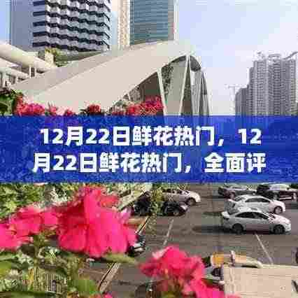 12月22日鲜花热门,全面评测与深度解析