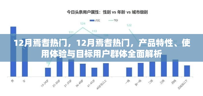全面解析，焉耆热门产品特性、用户体验与目标用户群体——12月版
