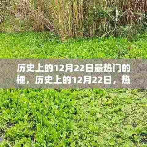 历史上的12月22日热门梗深度解析，演变与影响探讨