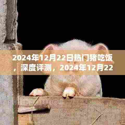 2024年热门猪吃饭产品深度评测与体验报告