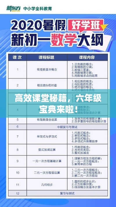 高效课堂秘籍,六年级宝典来啦!