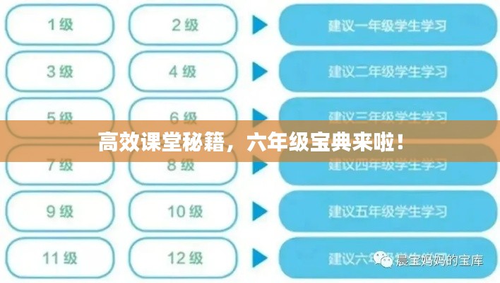高效课堂秘籍,六年级宝典来啦!