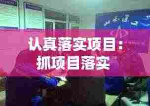 认真落实项目：抓项目落实 