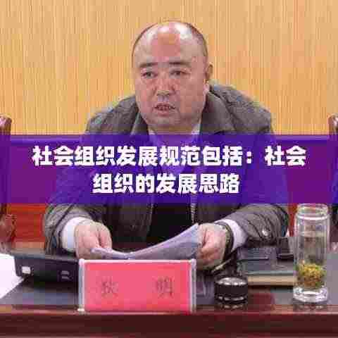 社会组织发展规范包括:社会组织的发展思路