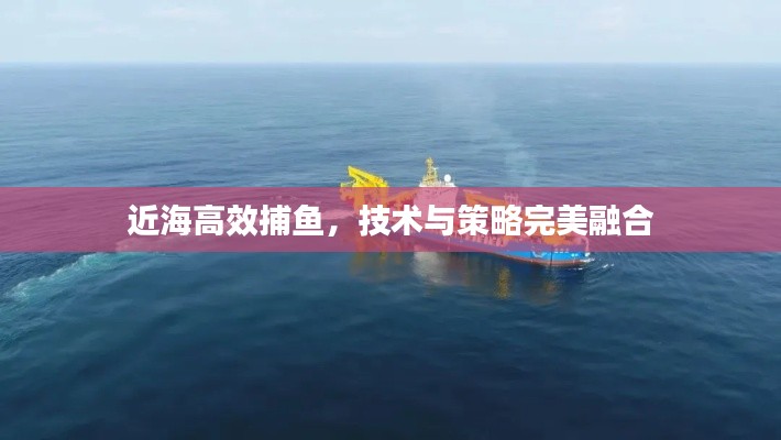 近海高效捕鱼，技术与策略完美融合